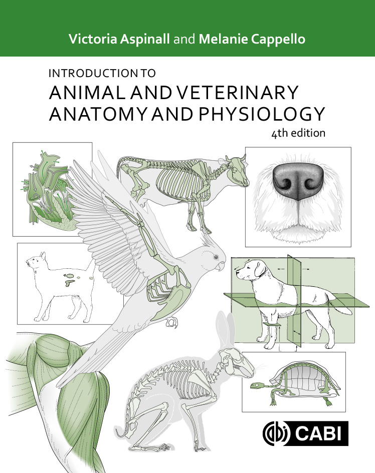 PDF] Introduction to Animal and Veterinary Anatomy and Physiology