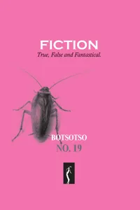 Botsotso 19: Fiction_cover