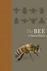 The Bee_cover