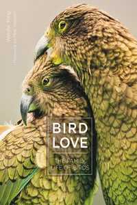 Bird Love_cover