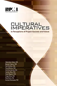 Cultural Imperatives in Perceptions of Project Success and Failure_cover