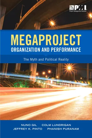 Megaproject Organization and Performance