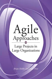 Agile Approaches on Large Projects in Large Organizations_cover