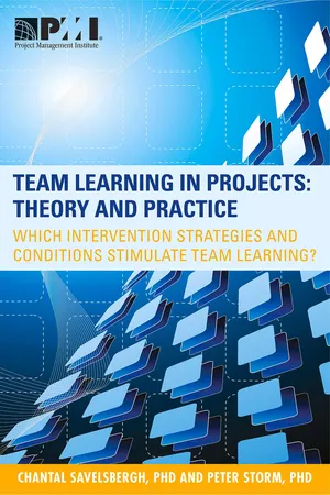 Team Learning in Projects