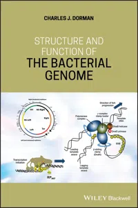 Structure and Function of the Bacterial Genome_cover