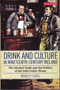 Drink and Culture in Nineteenth-century Ireland_cover