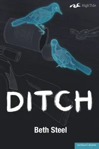 Ditch_cover