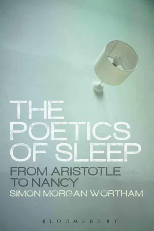 The Poetics of Sleep