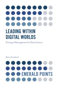 Leading within Digital Worlds_cover