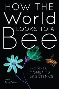 How the World Looks to a Bee_cover