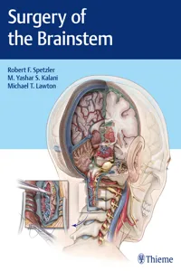 Surgery of the Brainstem_cover