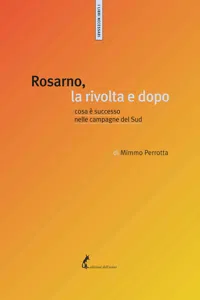 Rosarno, la rivolta e dopo_cover