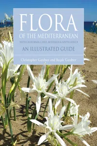 Flora of the Mediterranean_cover