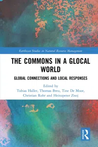 The Commons in a Glocal World_cover
