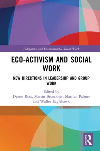 Eco-activism and Social Work_cover