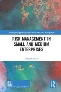 Risk Management in Small and Medium Enterprises_cover