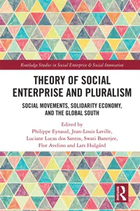 Theory of Social Enterprise and Pluralism_cover
