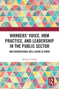 Workers' Voice, HRM Practice, and Leadership in the Public Sector_cover