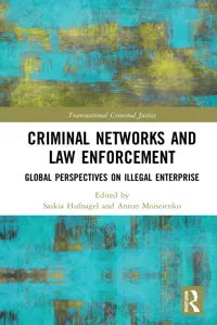 Criminal Networks and Law Enforcement_cover