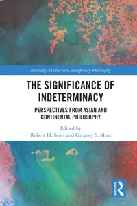 The Significance of Indeterminacy_cover