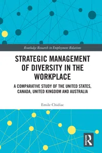 Strategic Management of Diversity in the Workplace_cover