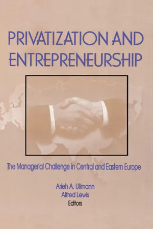 Privatization and Entrepreneurship