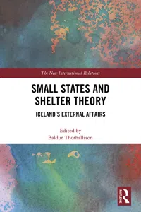 Small States and Shelter Theory_cover