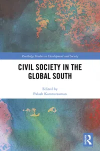 Civil Society in the Global South_cover