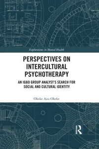 Perspectives on Intercultural Psychotherapy_cover