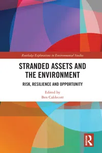 Stranded Assets and the Environment_cover