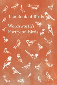 The Book of Birds_cover