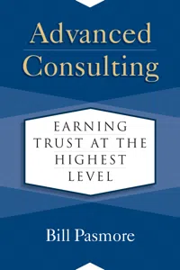 Advanced Consulting_cover