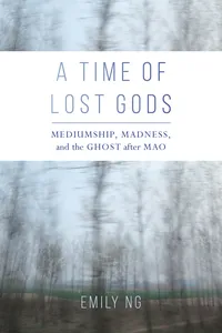 A Time of Lost Gods_cover