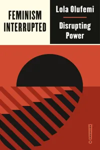 Feminism, Interrupted_cover