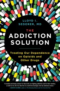 The Addiction Solution_cover