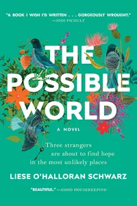 The Possible World_cover