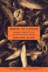 Noodling for Flatheads_cover
