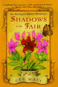 Shadows at the Fair_cover