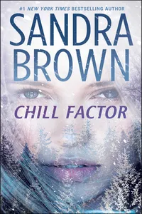 Chill Factor_cover