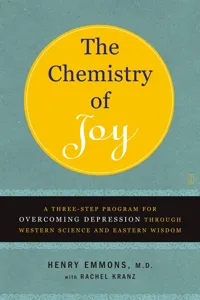 The Chemistry of Joy_cover