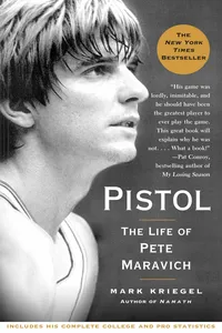 Pistol_cover