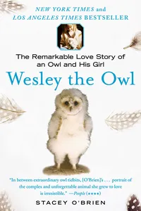 Wesley the Owl_cover