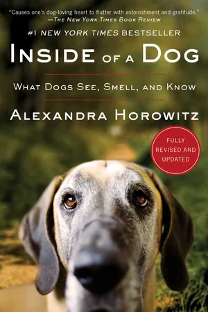 Inside of a Dog