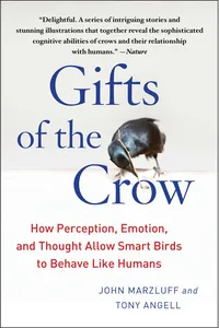 Gifts of the Crow_cover