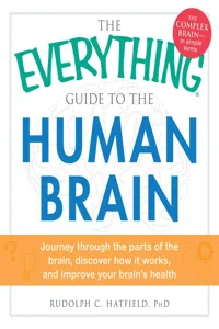 The Everything Guide to the Human Brain_cover