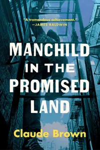 Manchild in the Promised Land_cover