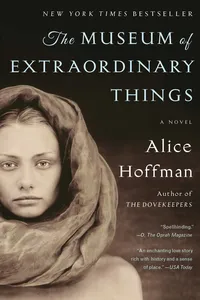 The Museum of Extraordinary Things_cover