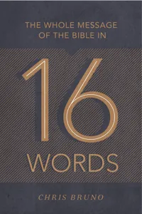 The Whole Message of the Bible in 16 Words_cover