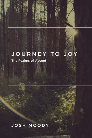 Journey to Joy