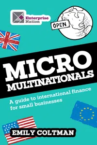 Micro Multinationals_cover